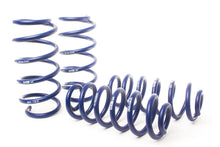 Load image into Gallery viewer, H&R 20-22 Ford Escape 4WD (Incl. Hybrid) Raising Spring