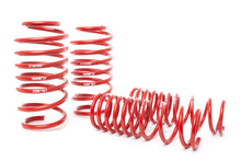 Load image into Gallery viewer, H&R 14-19 Ford Focus ST Race Springs Kit - 1.7in Front / 1.6in Rear