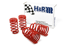 Load image into Gallery viewer, H&R 96-98 Volkswagen Golf/Jetta 8V MK3 Race Spring (After 7/1/96)