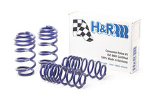 Load image into Gallery viewer, H&R 13-17 Audi SQ5 (AWD) 8R Sport Spring
