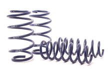 Load image into Gallery viewer, H&R 11-17 BMW X3 F25 Sport Spring