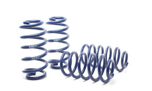 Load image into Gallery viewer, H&R 98-04 Audi A6 Quattro (AWD) 4B Race Spring