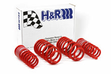Load image into Gallery viewer, H&R 96-01 Audi A4 Quattro (AWD) B5 Race Spring
