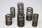 Ferrea MINI Cooper Dual Valve Spring - Set of 16