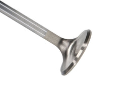 Manley Ford Racing Cylinder Head 4.6L & 5.4L SOHC 36.0mm Race Master Exhaust Valve (Single)