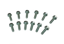 Load image into Gallery viewer, Moroso GM LS Header Bolts