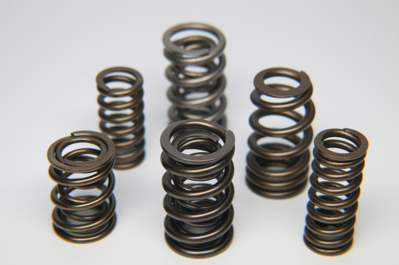 Ferrea Ford Zetec ZX2 Single Valve Spring - Single (Drop Ship Only)