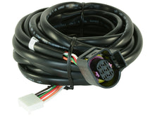 Load image into Gallery viewer, AEM Replacement Sensor Harness for Digital Wideband Gauge (30-4110)