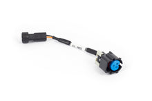 Load image into Gallery viewer, Haltech NEXUS Rebel LS Gen IV Oil Pressure Sensor Adaptor Harness (Plug-n-Play w/HT-186500)